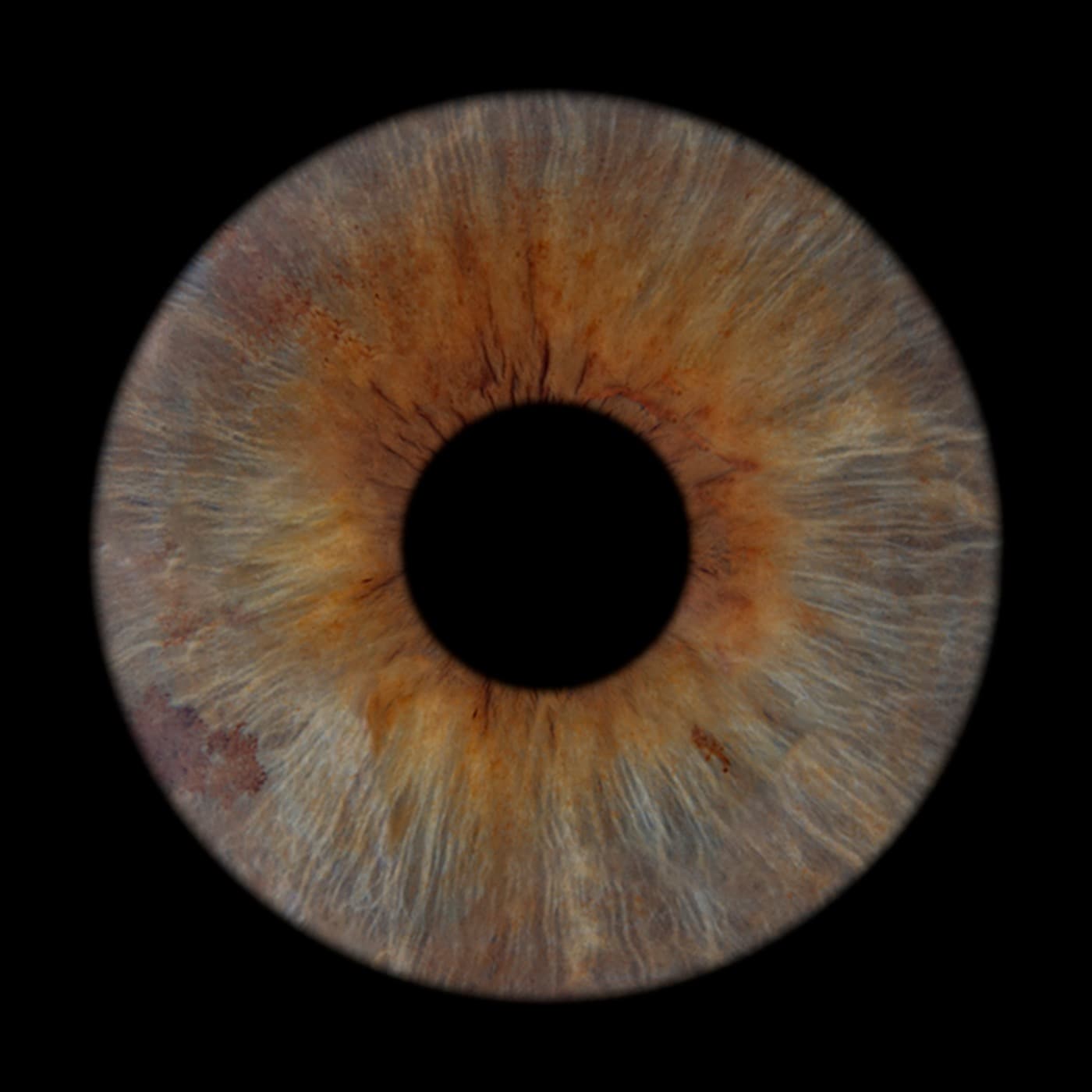 Iris von Beatrice